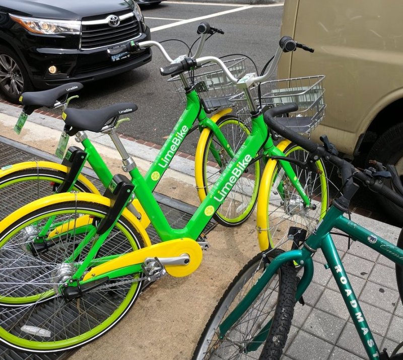LimeBike cycles in D.C. Photo: Payton Chung