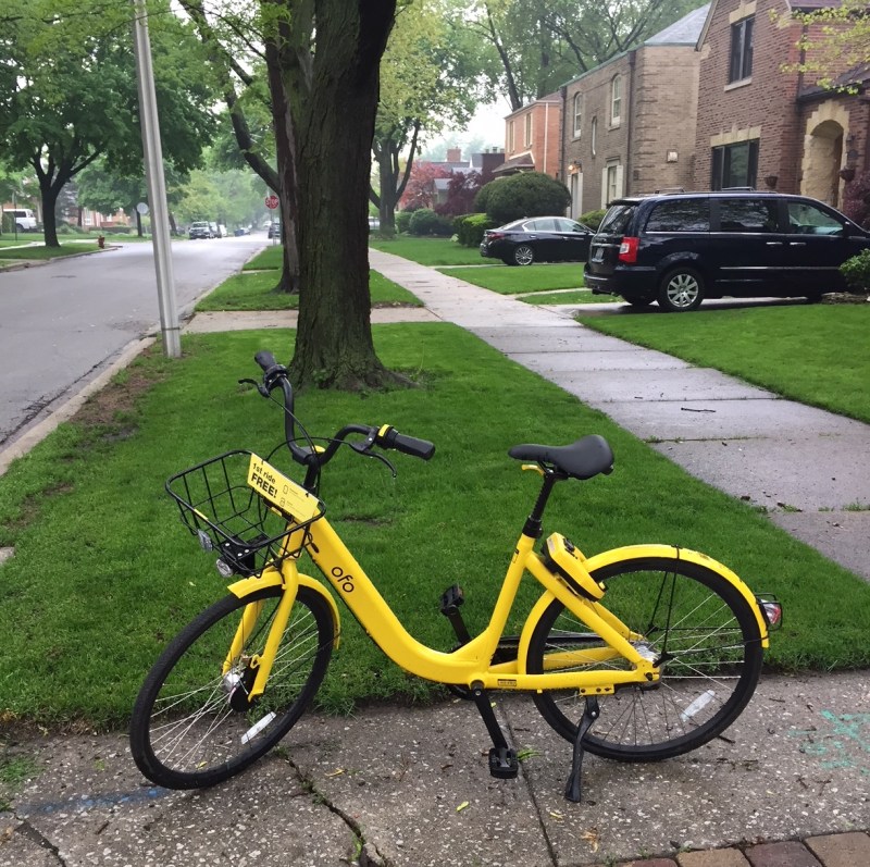 An Ofo bike in Beverly. Photo: Anne Alt