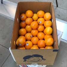 Free oranges at the Orange Line's 25th anniversary celebration. Photo: Lynda Lopez
