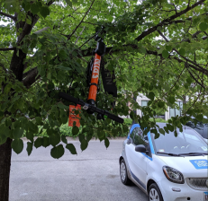 Lots of share-mobility options in Chicago nowadays! Photo: Twitter user Run2bike via Chicago Scooter Fails