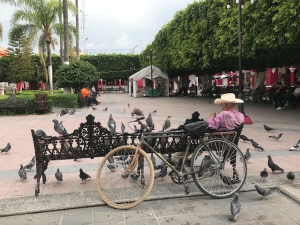 The central plaza in Tanhuato, Michoacán. Photo: Lynda Lopez