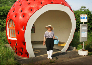 A fruit-shape bus stop, one of many such stops along the 207 National Highway in Konagai, Japan. Photo: Jonathan Goldberg via "Making Transit Fun!"