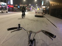 This winter's first snowstorm. Photo: John Greenfield