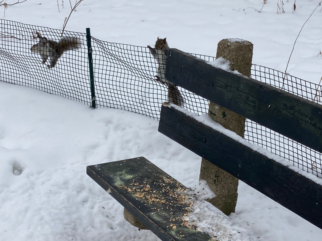 Photo: John Greenfield