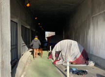 A person walking a dog in the Wilson sidewalk bike lane last March. Photo: John Greenfield