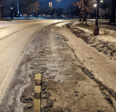 A protected bike lane on California Boulevard near Douglass Park. Photo: Ruth Rosas
