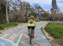 A bike path in Davis, California. Photo: Ruth Rosas