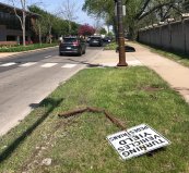 The location where the BMW driver killed Lopez, with the roof of the bus shelter in the background. Photo: Maureen Murphy